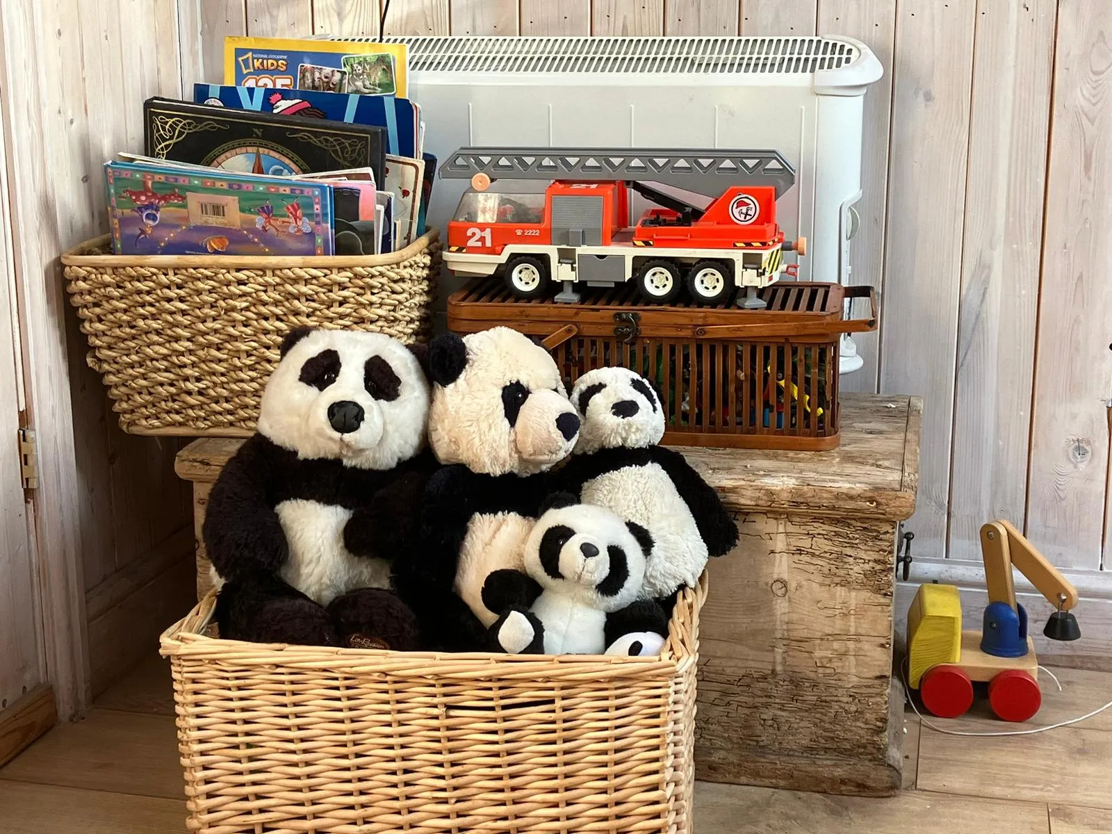 Collection of toys and books at the Panda Clinic